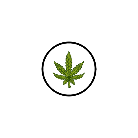 CBD leaf